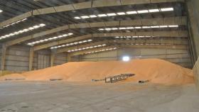 28 сентября в госфонд закупили 25,65 тысячи тонн зерна